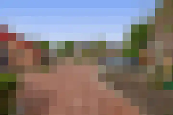 Het Hogeland 43 Zevenhuizen thumbnail 32