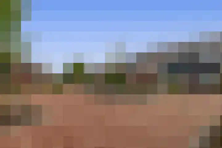 Het Hogeland 43 Zevenhuizen thumbnail 33