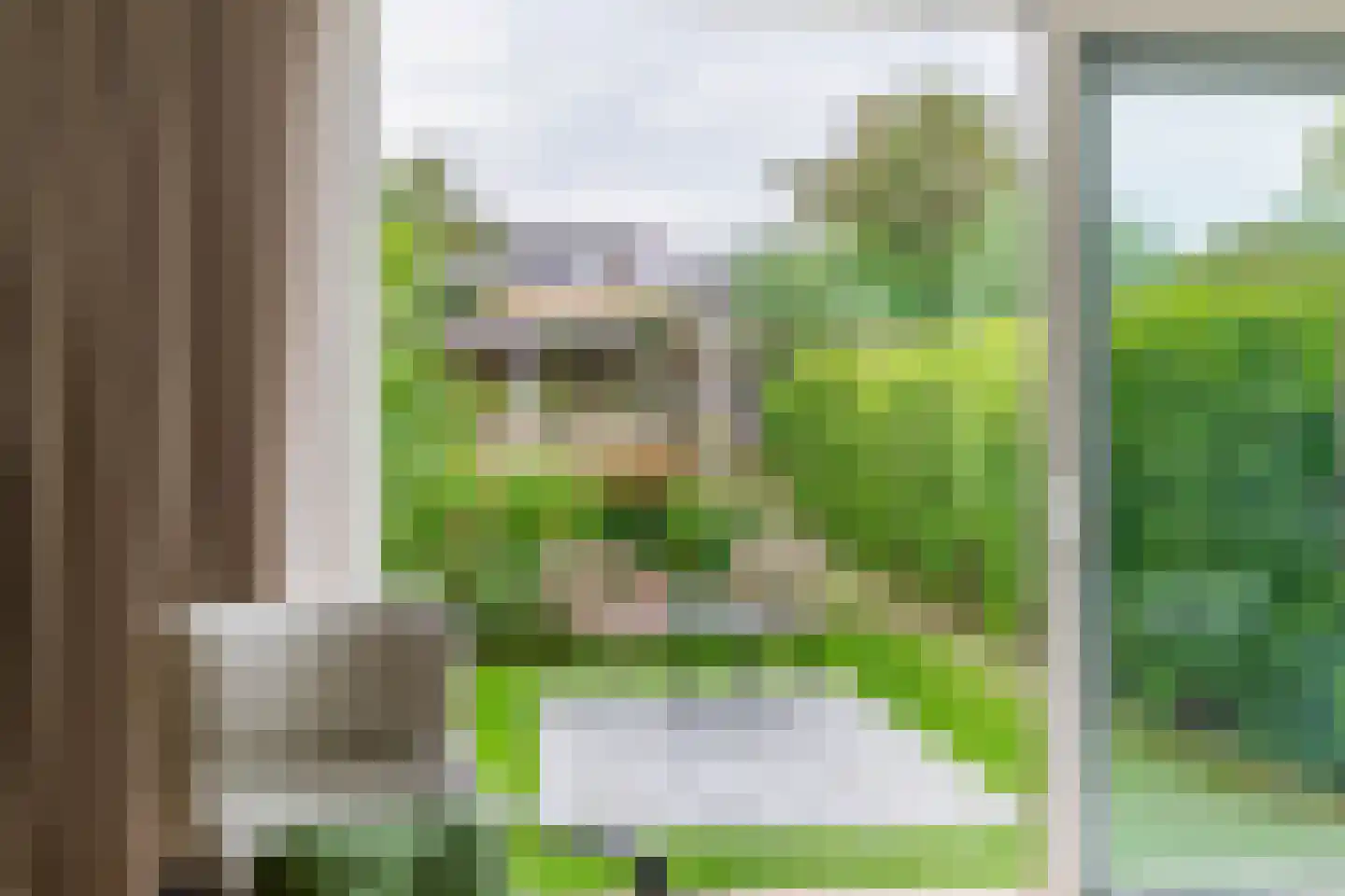 Het Hogeland 5 Zevenhuizen thumbnail 10