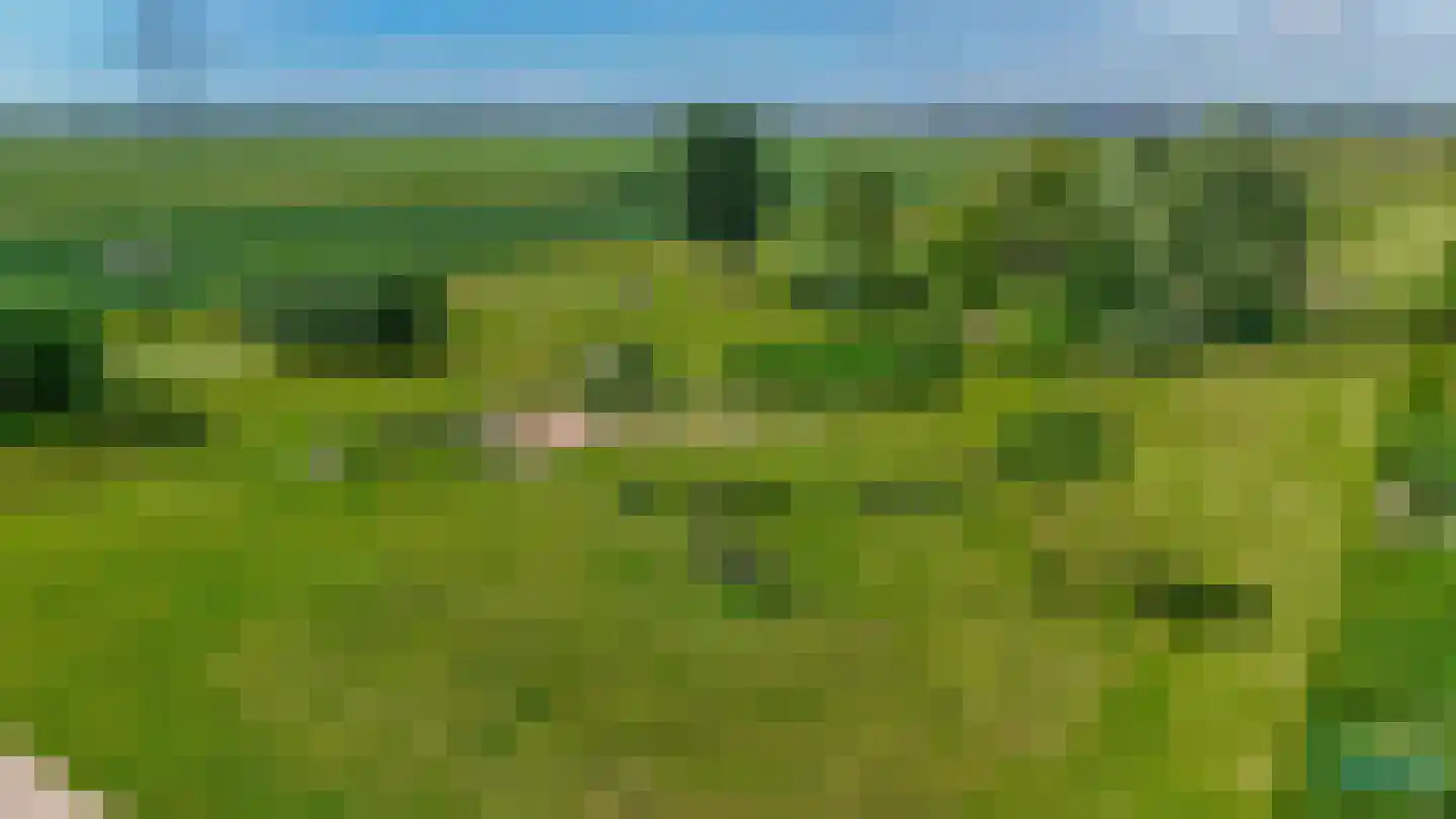Het Hogeland 5 Zevenhuizen thumbnail 35
