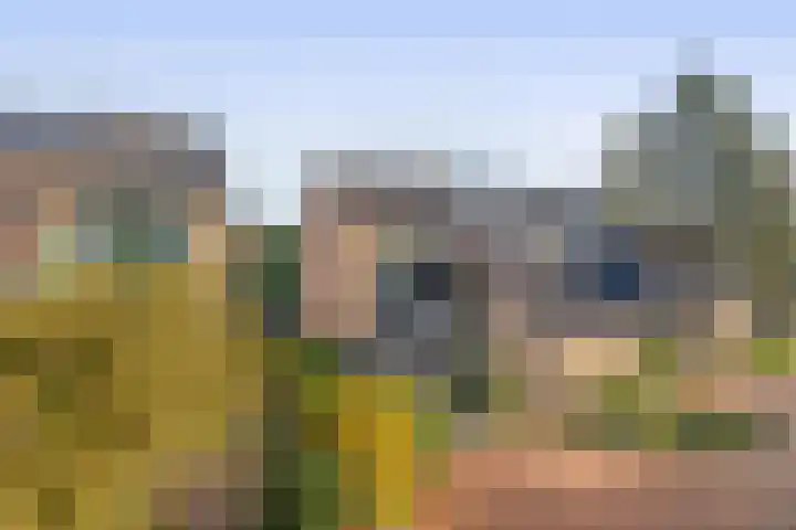 Het Hogeland 9 Zevenhuizen