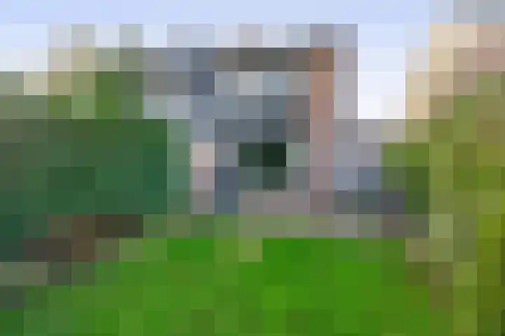 Het Hogeland 9 Zevenhuizen thumbnail 28