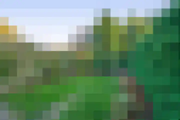 Het Hogeland 9 Zevenhuizen thumbnail 30