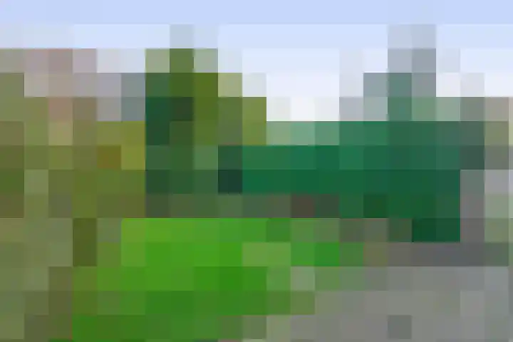 Het Hogeland 9 Zevenhuizen thumbnail 31