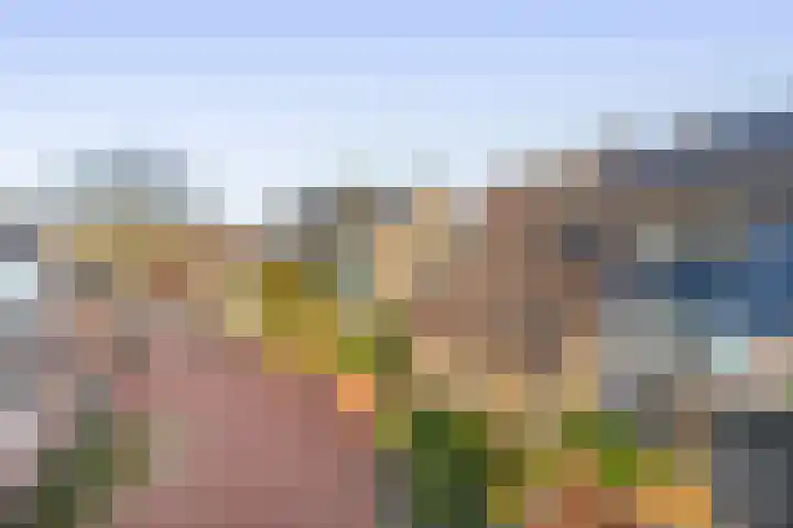 Het Hogeland 9 Zevenhuizen thumbnail 34