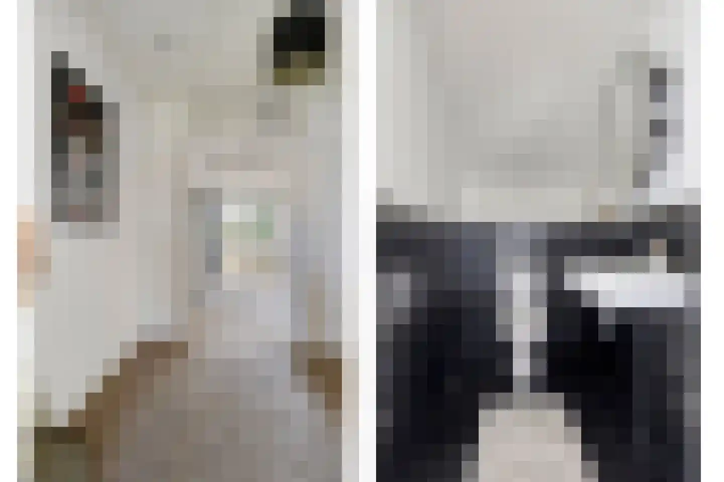 Het Hooge 3 Oldeberkoop thumbnail 29
