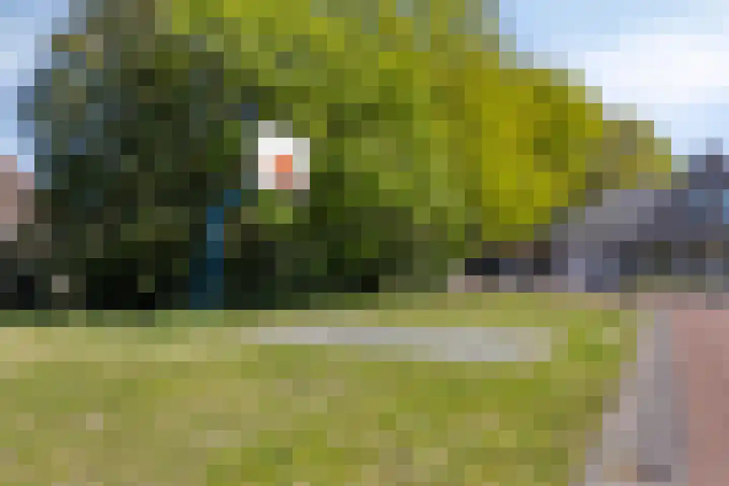 Het Hooge 3 Oldeberkoop thumbnail 45