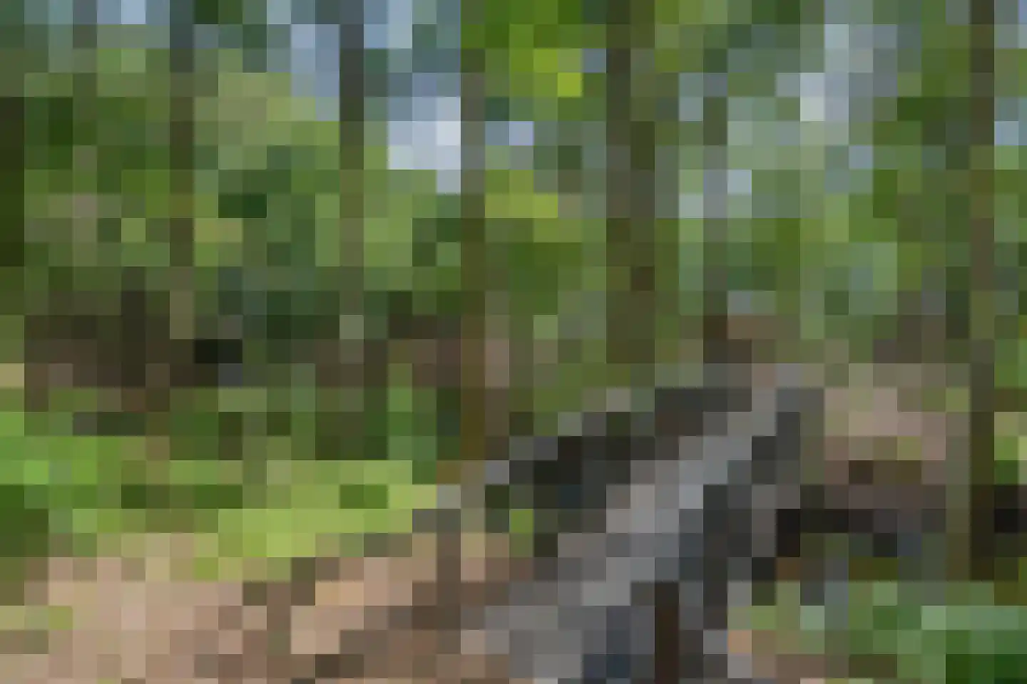 Het Hooge 3 Oldeberkoop thumbnail 48
