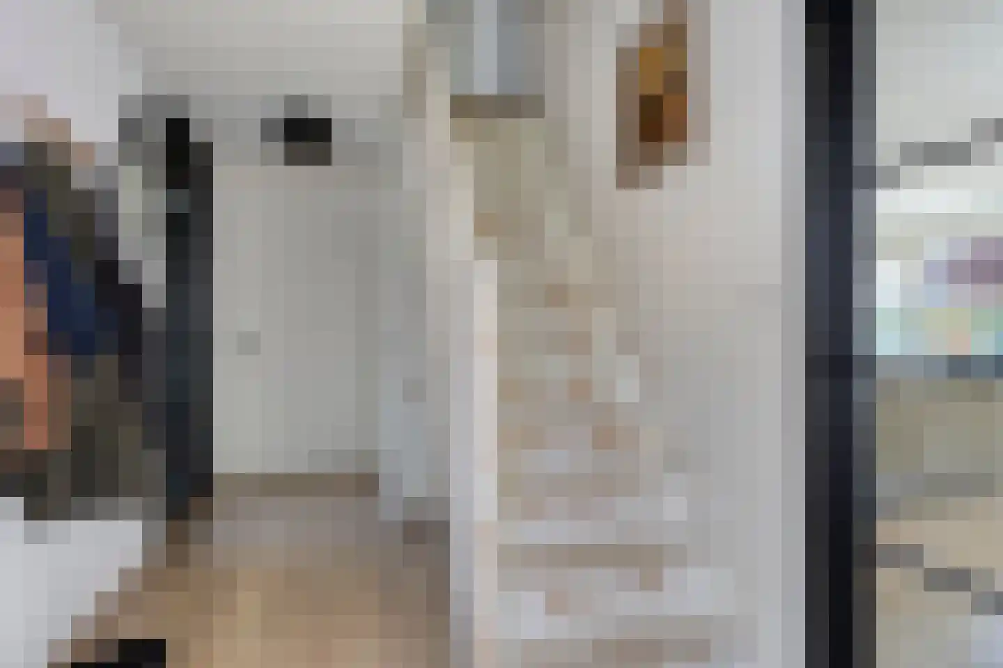 Het Hooge 3 Oldeberkoop thumbnail 6