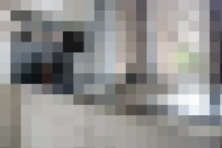 Het Hooge Land 24 Dalem thumbnail 10