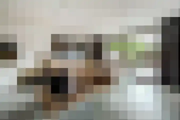 Het Hooge Land 24 Dalem thumbnail 17