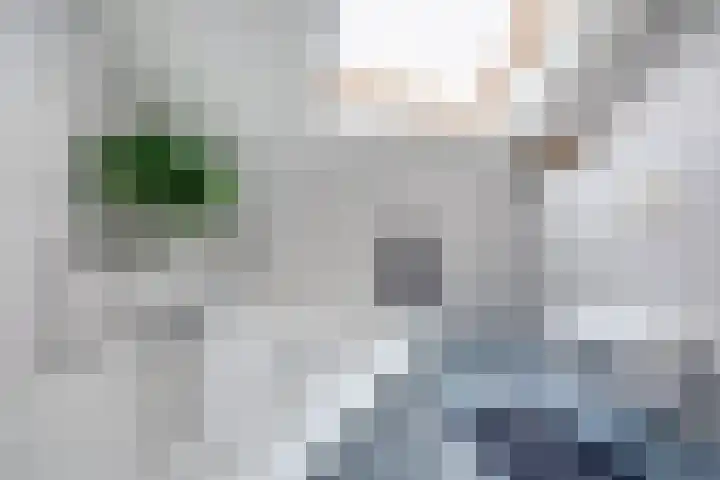 Het Hooge Land 24 Dalem thumbnail 24