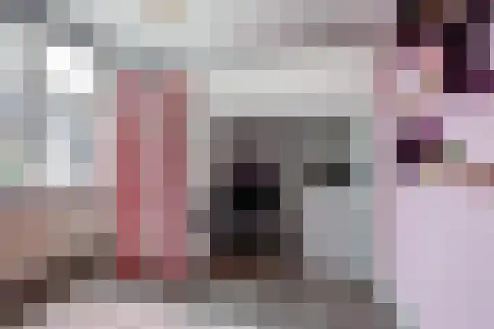 Het Hooge Land 24 Dalem thumbnail 25