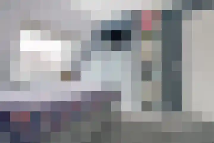 Het Hooge Land 24 Dalem thumbnail 27