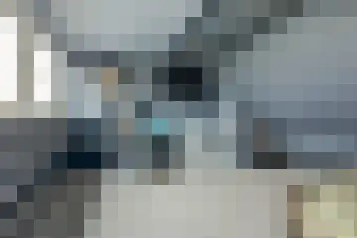 Het Hooge Land 24 Dalem thumbnail 32