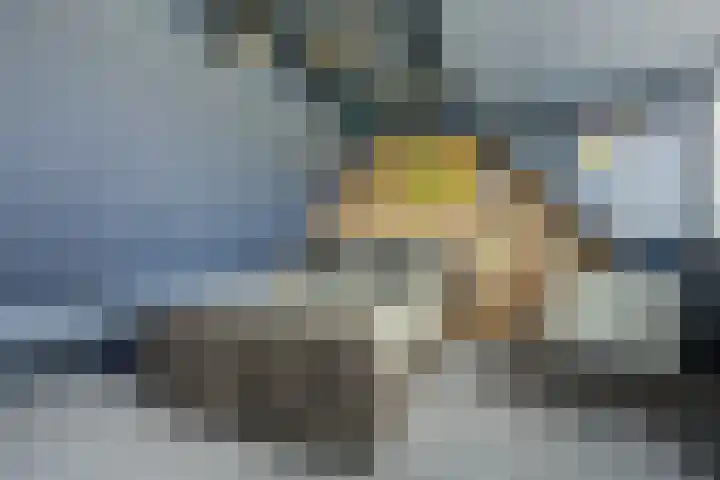 Het Hooge Land 24 Dalem thumbnail 33