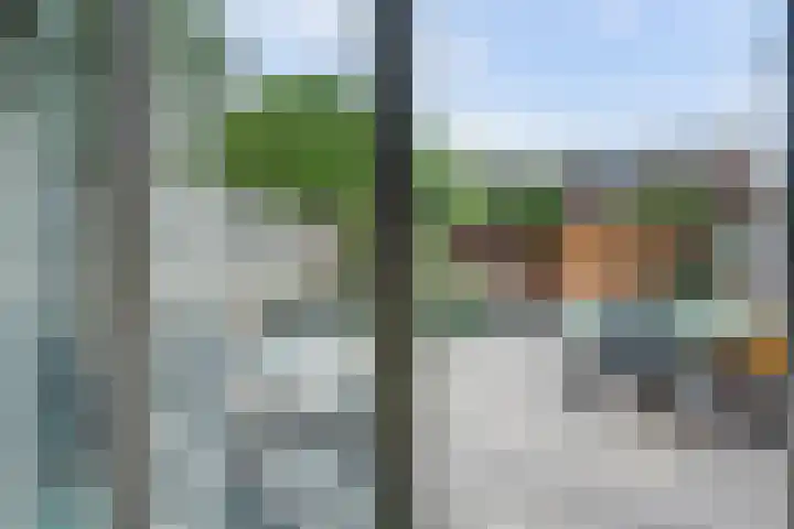 Het Hooge Land 24 Dalem thumbnail 36