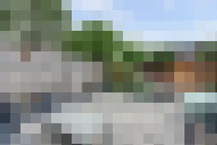 Het Hooge Land 24 Dalem thumbnail 37