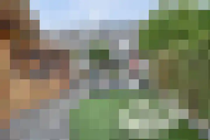 Het Hooge Land 24 Dalem thumbnail 39