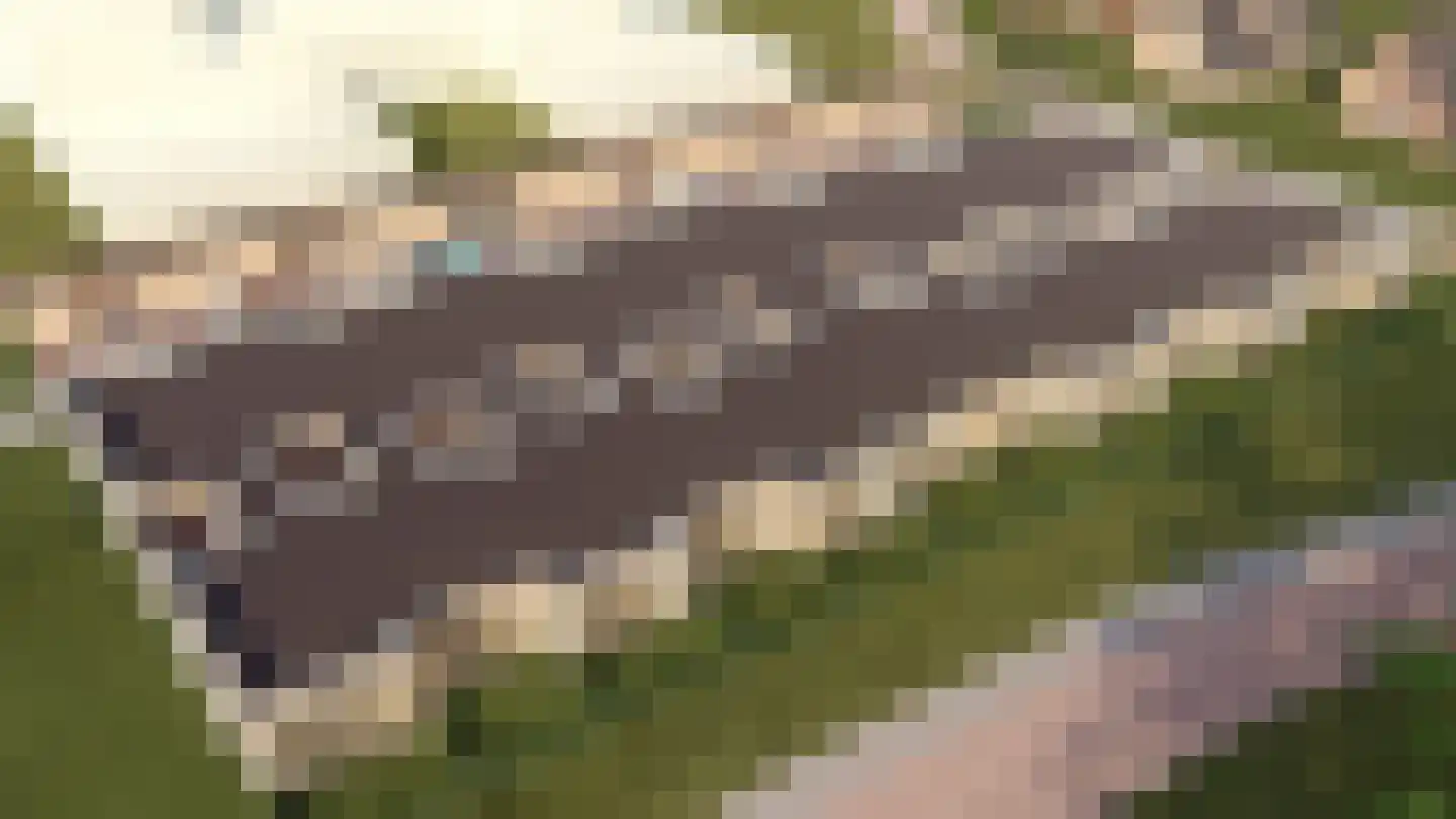Het Hooge Veld 12 Zuidwolde thumbnail 6