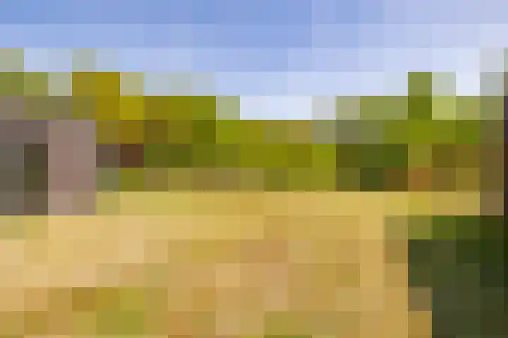 Het Hooge Veld 5 Zuidwolde thumbnail 37