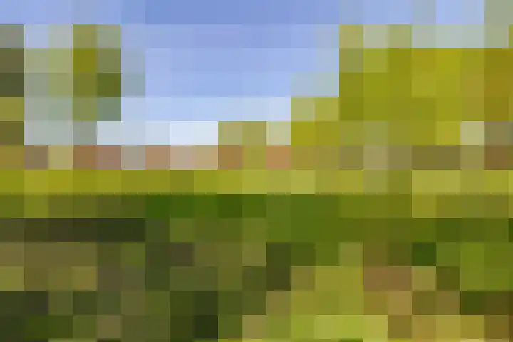 Het Hooge Veld 5 Zuidwolde thumbnail 42