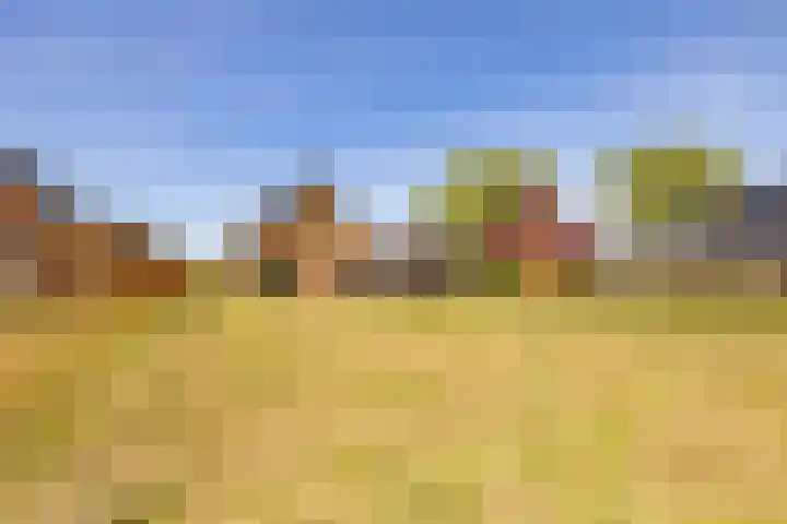 Het Hooge Veld 5 Zuidwolde thumbnail 43