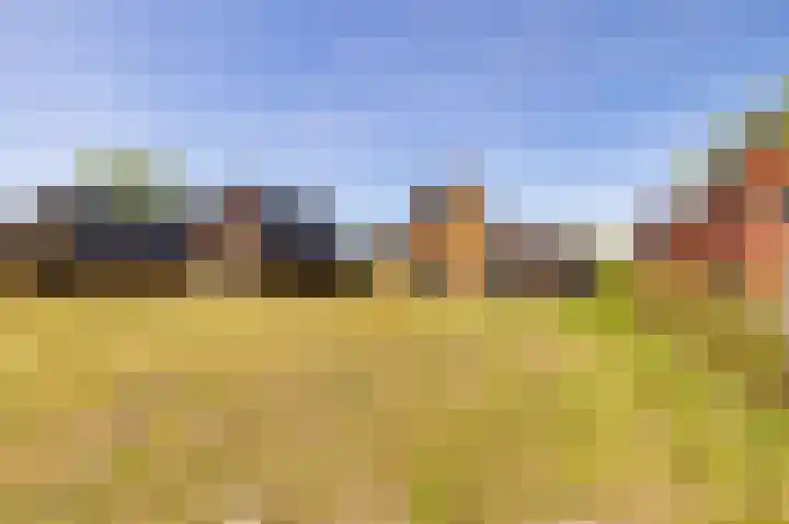 Het Hooge Veld 5 Zuidwolde thumbnail 44