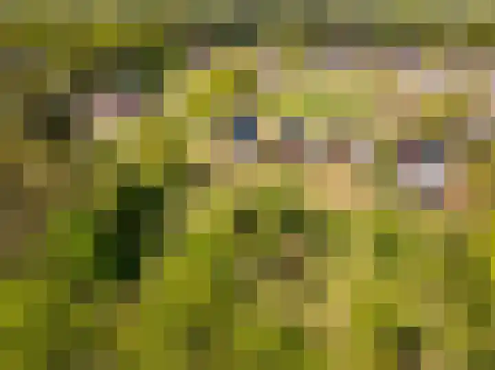 Het Hooge Veld 5 Zuidwolde thumbnail 48
