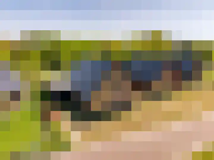 Het Hooge Veld 5 Zuidwolde thumbnail 52