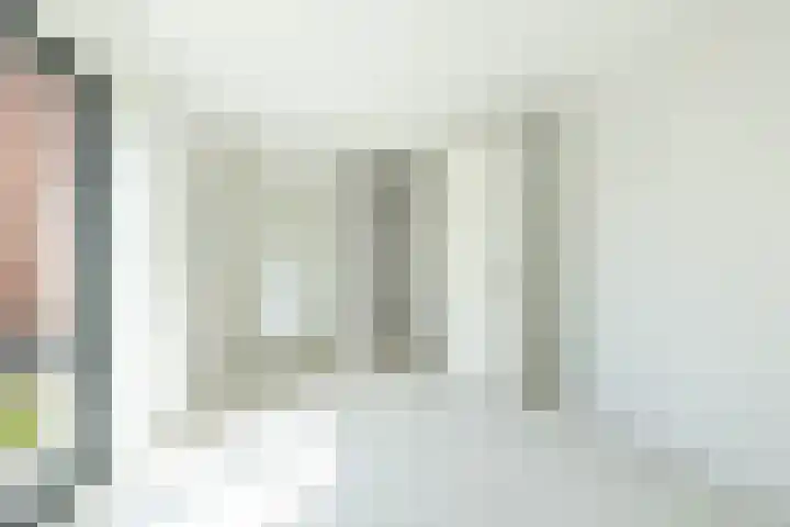 Het Hooge Veld 7 Zuidwolde thumbnail 20