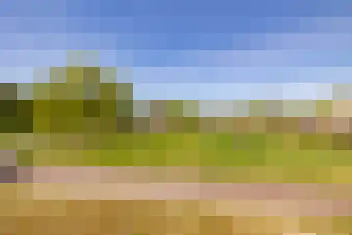 Het Hooge Veld 7 Zuidwolde thumbnail 28