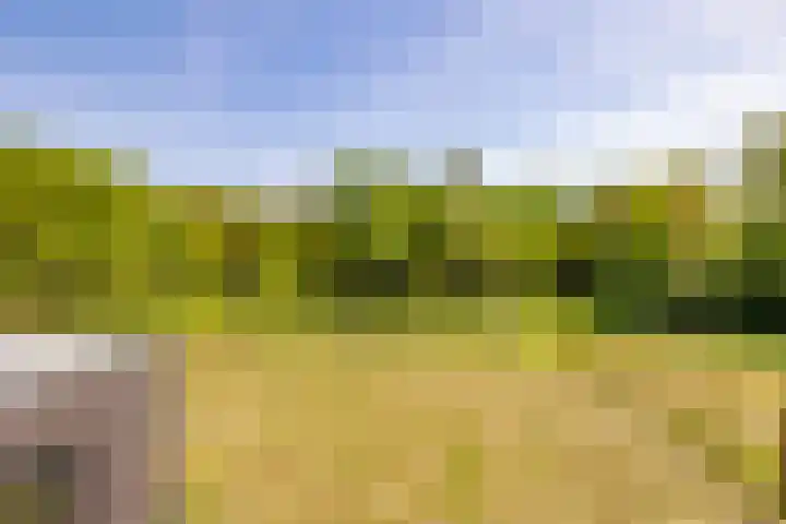 Het Hooge Veld 7 Zuidwolde thumbnail 35