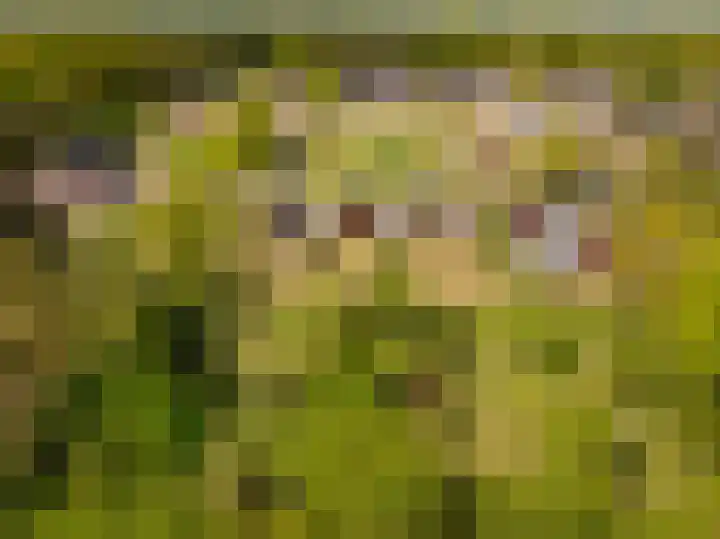 Het Hooge Veld 7 Zuidwolde thumbnail 42