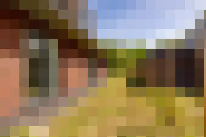 Het Hooge Veld 7 Zuidwolde thumbnail 43