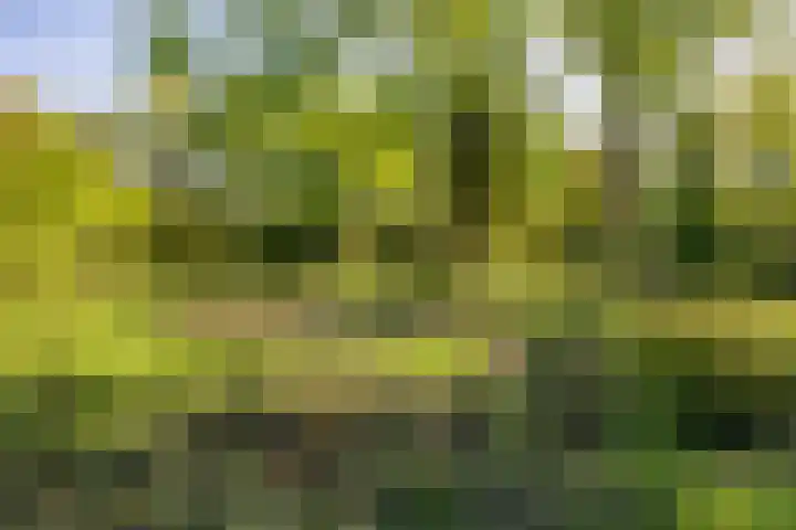 Het Hooge Veld 7 Zuidwolde thumbnail 49