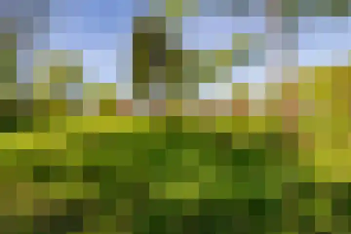Het Hooge Veld 7 Zuidwolde thumbnail 50