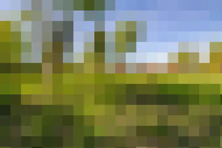 Het Hooge Veld 7 Zuidwolde thumbnail 51