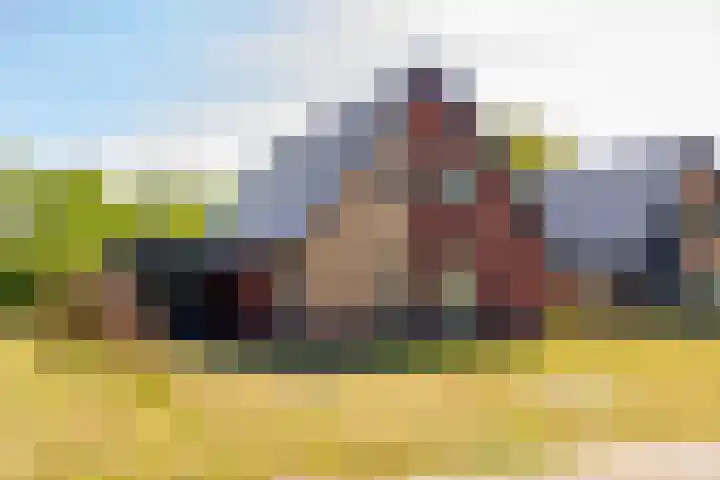 Het Hooge Veld 7 Zuidwolde thumbnail 56