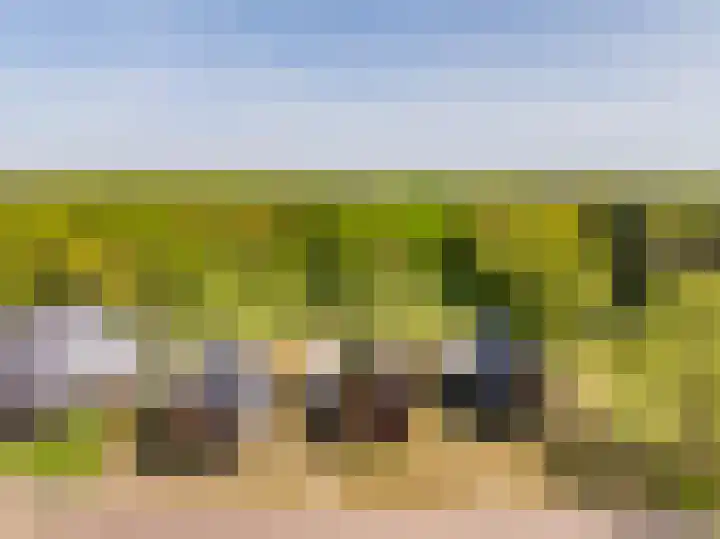 Het Hooge Veld 7 Zuidwolde thumbnail 57