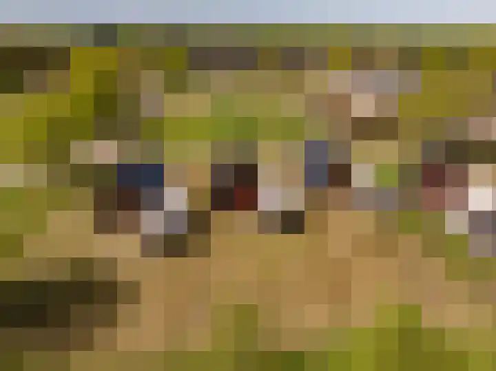 Het Hooge Veld 7 Zuidwolde thumbnail 59