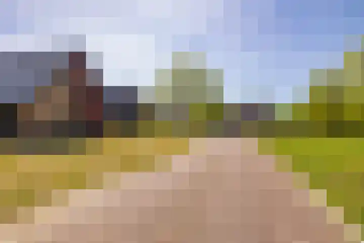 Het Hooge Veld 7 Zuidwolde thumbnail 61