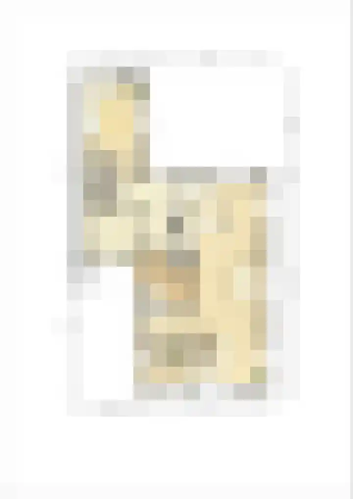Het Hooge Veld 7 Zuidwolde thumbnail 64