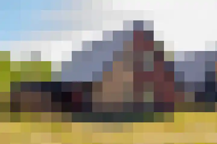 Het Hooge Veld 7 Zuidwolde thumbnail 67