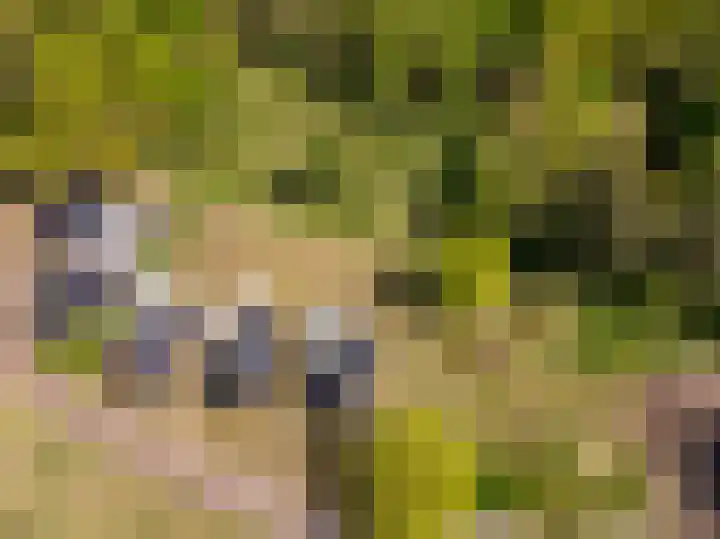 Het Hooge Veld 9 Zuidwolde thumbnail 39