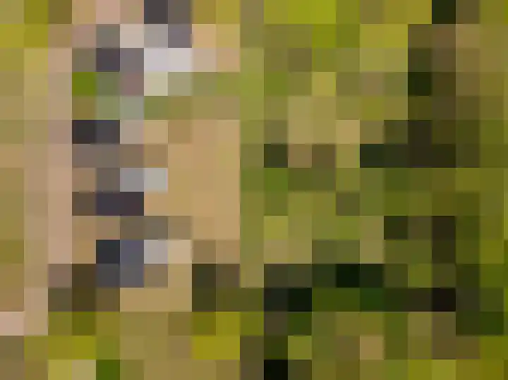 Het Hooge Veld 9 Zuidwolde thumbnail 40