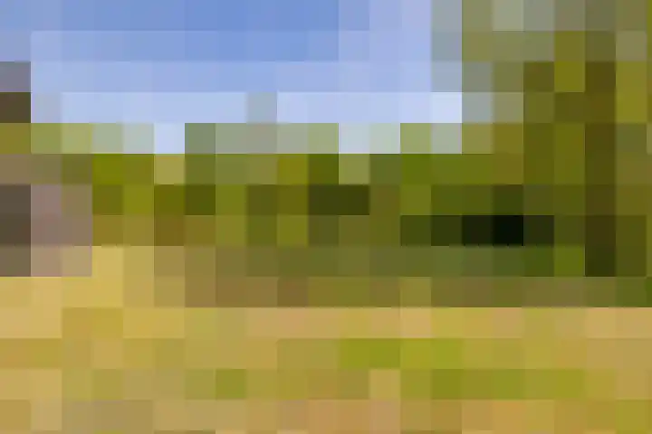 Het Hooge Veld 9 Zuidwolde thumbnail 42