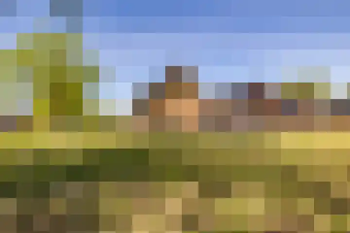 Het Hooge Veld 9 Zuidwolde thumbnail 43