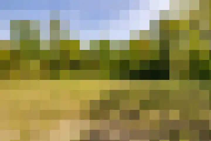 Het Hooge Veld 9 Zuidwolde thumbnail 44