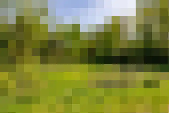 Het Hooge Veld 9 Zuidwolde thumbnail 45